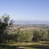 Umbrian-landscape
